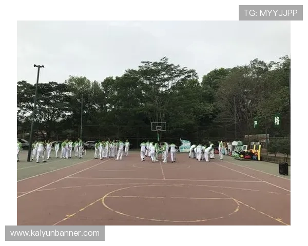 开云真人国际：专业团队打造安全可靠的真人娱乐环境