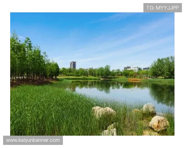 开云体育入口链接最新官方入口地址全面更新，助你轻松畅享精彩体育赛事体验